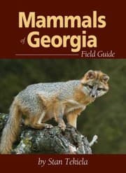 Tapa de Mammals Of Georgia Field Guide