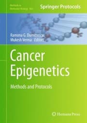 Tapa de Cancer Epigenetics Methods And Protocols
