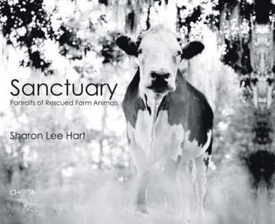 Tapa de Sanctuary