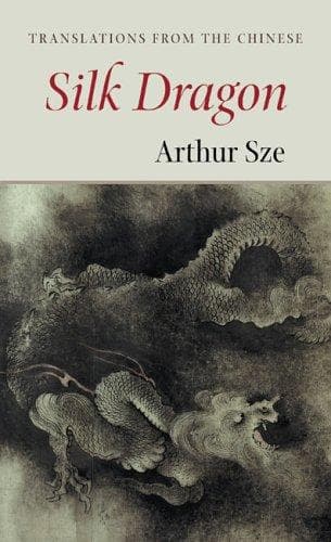 Tapa de Silk Dragon
