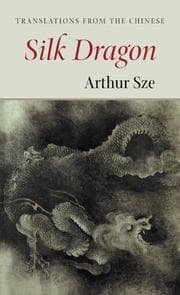 Tapa de Silk Dragon
