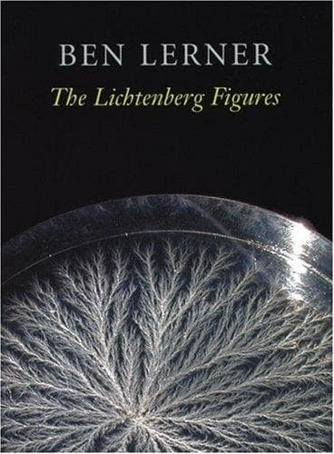 Tapa de The Lichtenberg figures