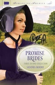 Tapa de Promise Brides Threeinone Collection