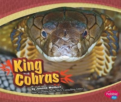Tapa de King Cobras
            
                Asian Animals