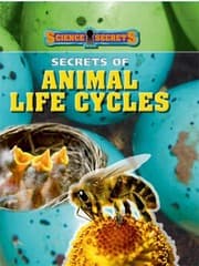 Tapa de Secrets of Animal Life Cycles
            
                Science Secrets