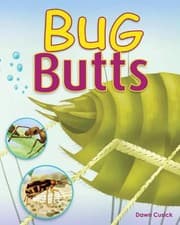 Tapa de Bug Butts