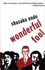 Tapa de Wonderful Fool
            
                Peter Owen Modern Classics