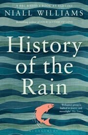 Tapa de History of the Rain