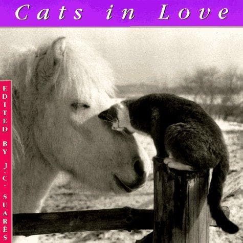 Tapa de Cats in love