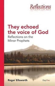 Tapa de They Echoed the Voice of God
            
                Reflections DayOne