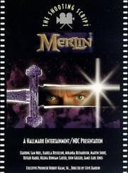 Tapa de Merlin