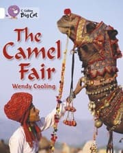 Tapa de The Camel Fair