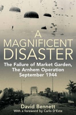 Tapa de A Magnificent Disaster