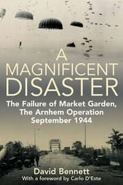 Tapa de A Magnificent Disaster
