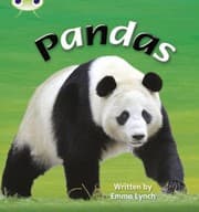 Tapa de Pandas