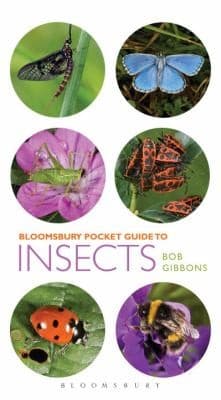 Tapa de Pocket Guide to Insects
Pocket Guides