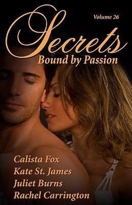 Tapa de Secrets Volume 26
Secrets Red Sage