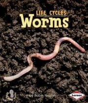 Tapa de Worms