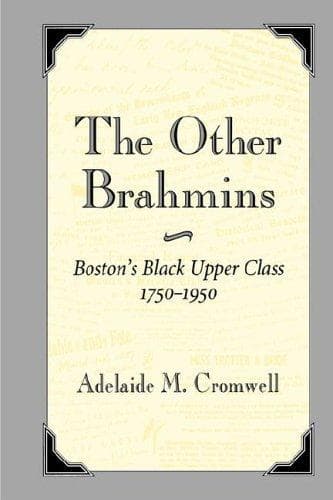 Tapa de The other Brahmins