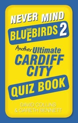 Tapa de Never Mind the Bluebirds 2