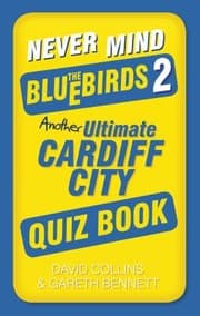 Tapa de Never Mind the Bluebirds 2