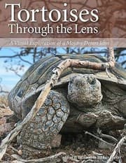 Tapa de Tortoises Through the Lens