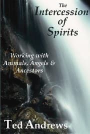 Tapa de The Intercession Of Spirits Working With Animals Angels Ancestors