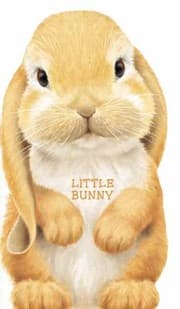 Tapa de Little Bunny
            
                Look at Me Books Barrons