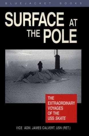 Tapa de Surface at the pole