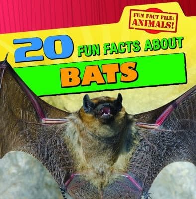 Tapa de 20 Fun Facts About Bats