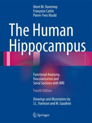 Tapa de The Human Hippocampus