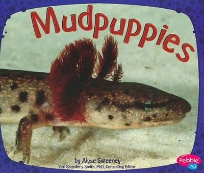 Tapa de Mudpuppies
            
                Amphibians