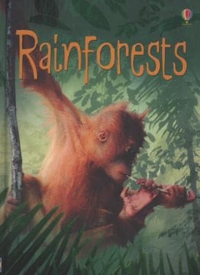 Tapa de Rainforest
            
                Usborne Beginners