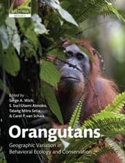 Tapa de Orangutans
            
                Oxford Biology Paperback