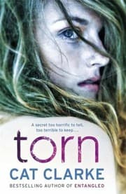 Tapa de Torn