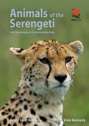 Tapa de Animals of the Serengeti
            
                Wildlife Explorer Guides