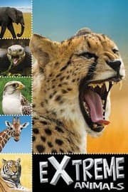 Tapa de Ready to Read Extreme Animals
            
                Ready to Read Level 1 Make Believe Ideas