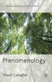 Tapa de Phenomenology
Palgrave Philosophy Today