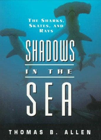 Tapa de Shadows in the sea