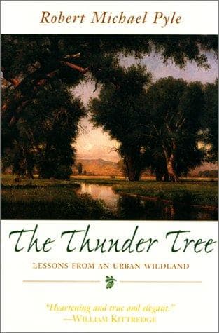 Tapa de The thunder tree
