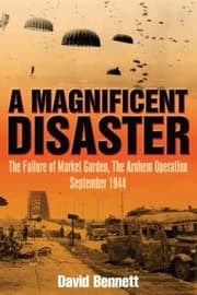 Tapa de A Magnificent Disaster