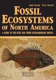 Tapa de Extraordinary Fossil Ecosystems of North America