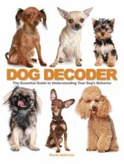 Tapa de The Dog Decoder The Essential Guide To Understanding Your Dogs Behavior
