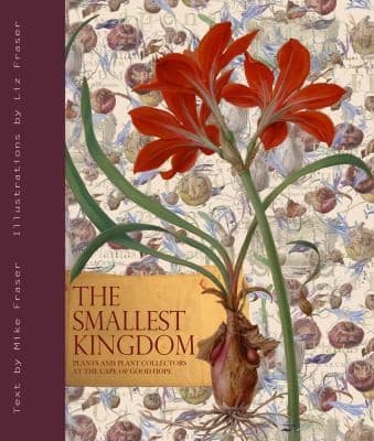 Tapa de The Smallest Kingdom