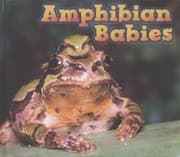Tapa de Amphibian Babies
            
                Acorn Animal Babies