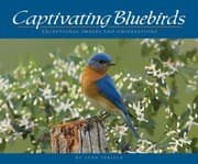 Tapa de Captivating Bluebirds