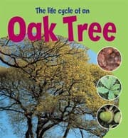 Tapa de The Life Cycle of an Oak Tree
Learning about Life Cycles