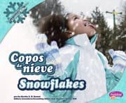 Tapa de Copos de NieveSnowflakes
            
                Todo Sobre El InviernoAll about Winter