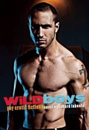 Tapa de Wild Boys Gay Erotic Fiction