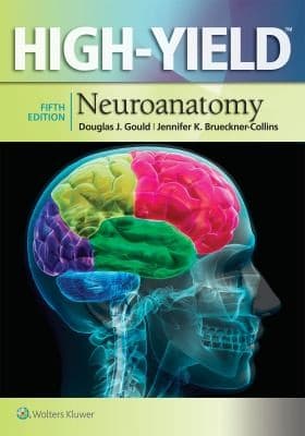Tapa de HIGHYIELD NEUROANATOMY 5E